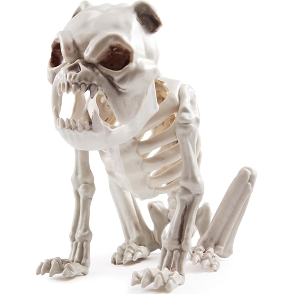 Halloween Hundeskjelettet i Plast 9,5 Tommer Valpeskelett Hundben i Plast med Leder for Rekvisita Skremmende Scene Festgaver Dekorasjon, 24 cm Parent