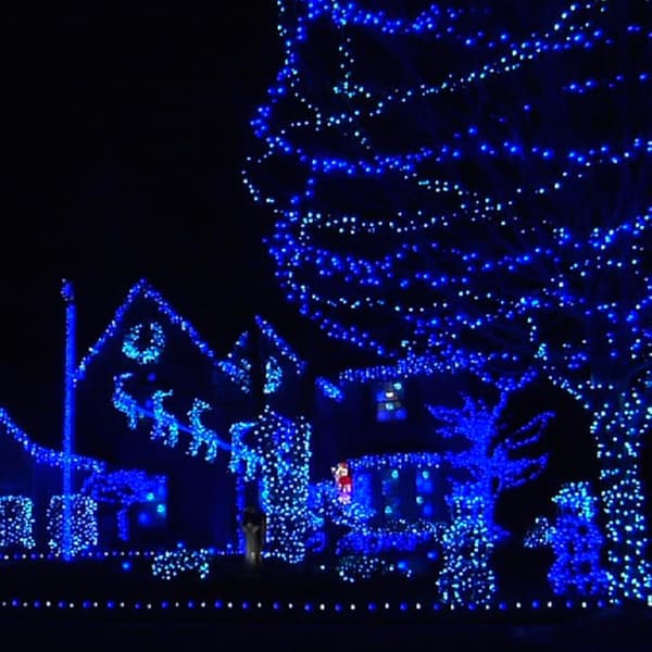 Lysguirlander til udendørs brug, 1000 LED 100 meter, Plug-in-model Blue_MGF Blue 1000 LED