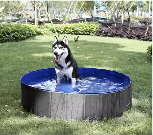Hundpool Hopfällbar - 100x30cm_MGF