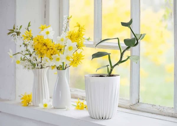 Avskalad ECO Återvinnings Blomkruka Vit_MGF
