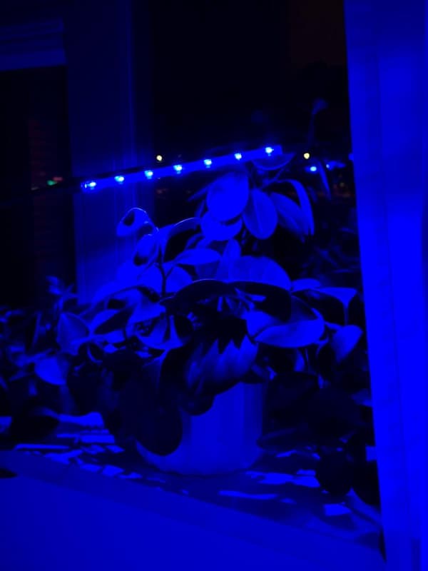 LED-växtlampa 20 dioder TIMER 9 W för hemmaodling utan nätadapter_MGF