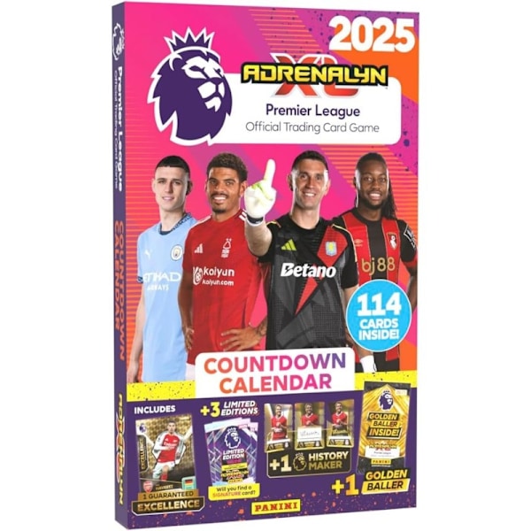 Panini Panini Premier League 24/25 Advent calendar - Soccer card