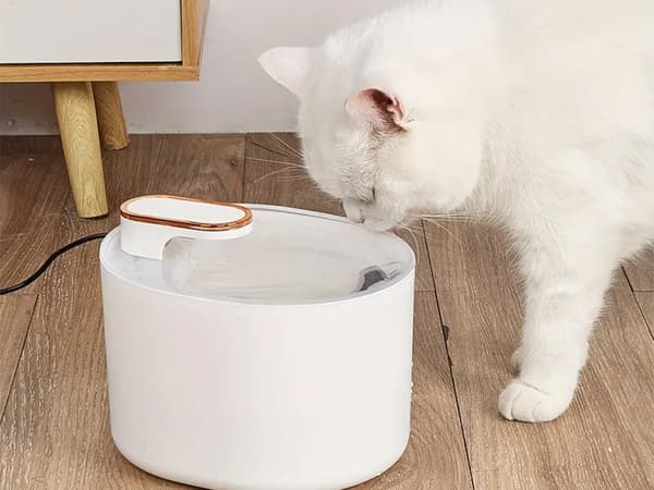 Automatisk kattevandsfontæne til hunde, filter, vandskål_MGF White