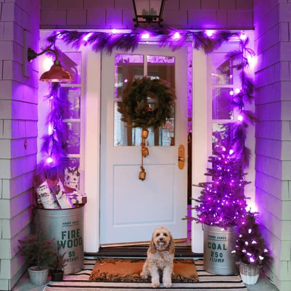 Varm hvid julebelysning indendørs, 10 meter 100 LED-julelyskæde_MGF Purple