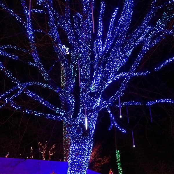 Lysguirlander til udendørs brug, 1000 LED 100 meter, Plug-in-model Blue_MGF Blue 1000 LED