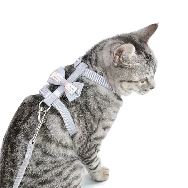 INF Grey Cat Harness with Bow - Safe and Comfortable Walking Harness for Cats (S) 0 M