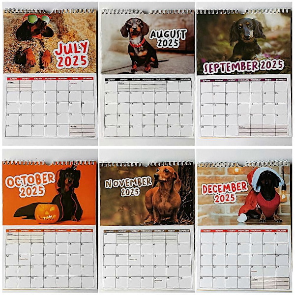 2025 Cheeky Dachshunds -kalenteri Joulu Uusivuosi Lahja Seinäkuukausikalenteri Koriste Ajanhallinta Riippuva Kalenteri