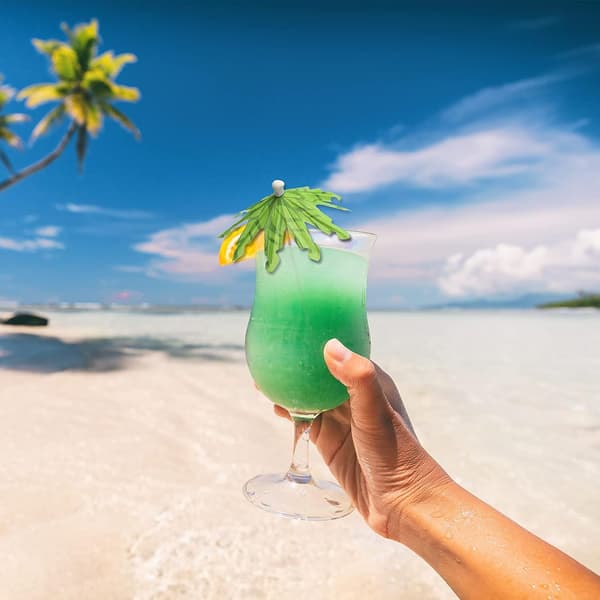 100 stykker cocktailparaplyer - palmetræ - drinkdekoration
