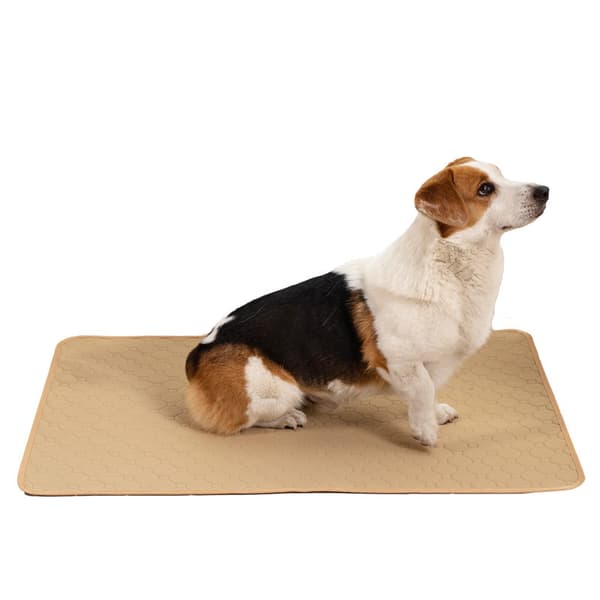 Washable Training Pads for Dogs M M