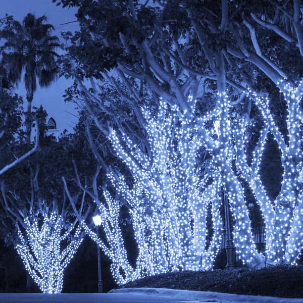 1000 LED julelys, 100 meter juletrelys utendørs Plug in_MGF White