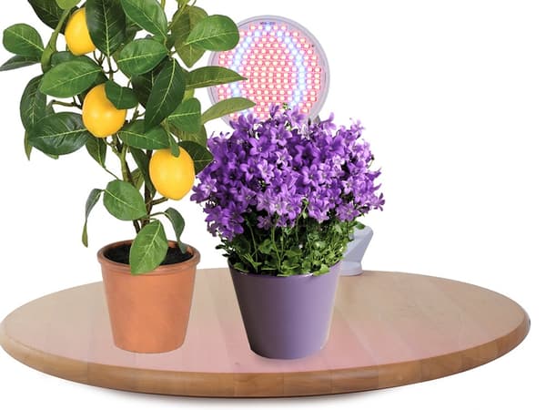 LED Växtlampa / Odlingslampor / Växtbelysning - 20W_MGF