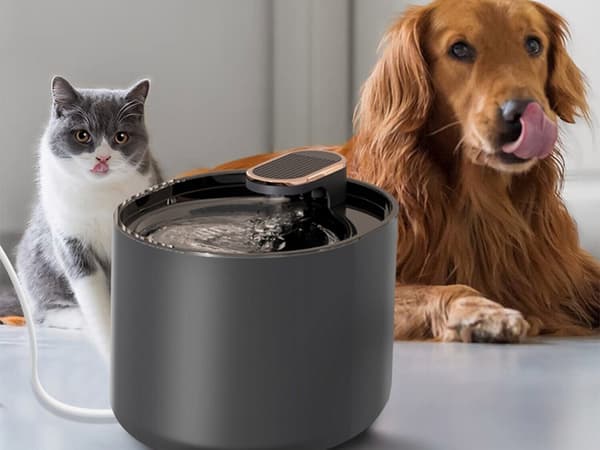 Automatisk kattevandsfontæne til hunde, filter, vandskål_MGF Black