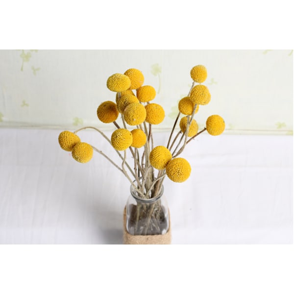 20 stk. naturlige tørrede blomster Billy Balls blomster Billy Buttons blomsterbuket til blomsterarrangementer bryllup hjem høj vasedekoration gul