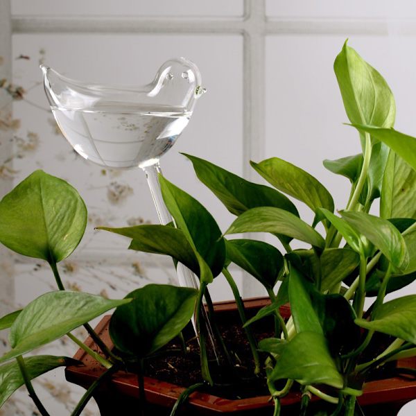 Automatisk självbevattningsanordning Glassprinkler Trädgårdsblomma C Bird one size