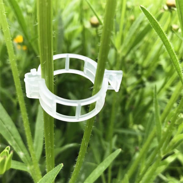 100 stk. Plastikklips til klatrende planter - Klar fikseringsklips til tomat A
