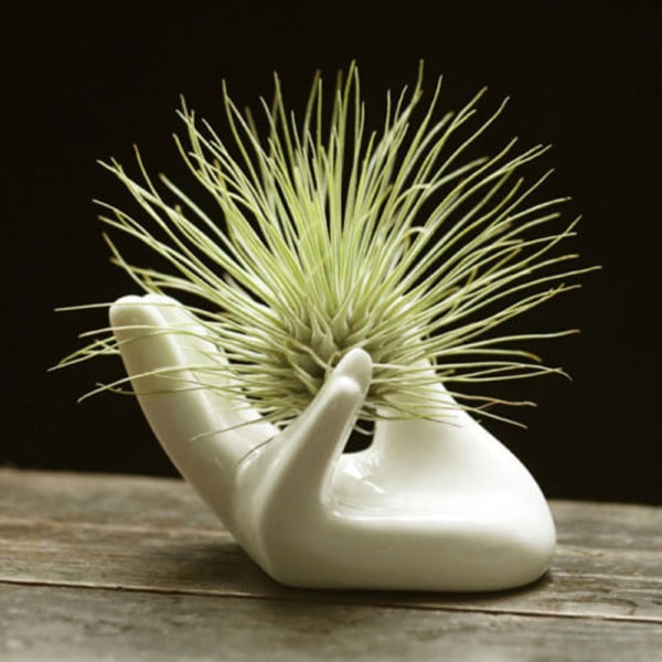 4st Porslin Keramik Air Tillandsia Hållare Blomma er Office White one size