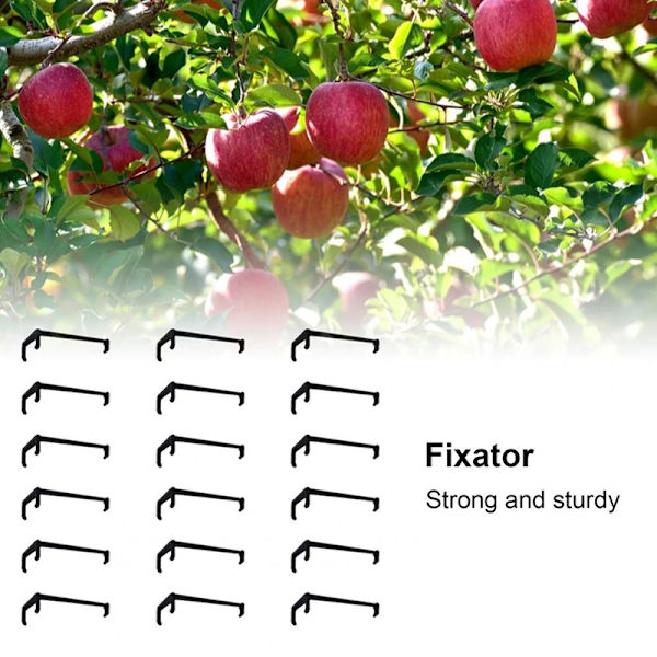 10 Stk Frugttræ Grene Holder Frugtgren Spreder Træ BH Black
