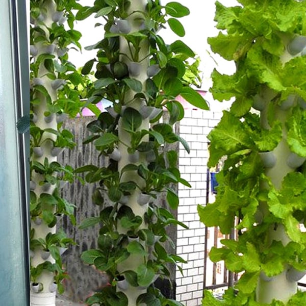 5 stk. kolonnekop DIY hydroponiske koloniseringskopper Grow Pots White 5Pcs