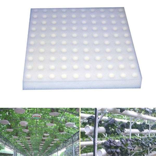 100 kpl Soilless Hydroponic Vegetables Nursery Spo one size