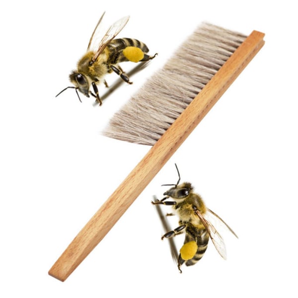 Træ honning børste hveps bi feje to rækker af hestehale hår bi Brown one size