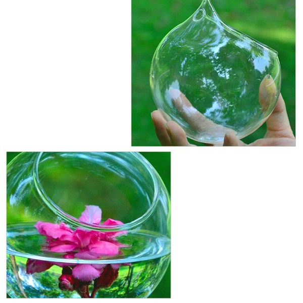 Hanging Ball Glass Flower er Vas Terrarium Container Landscape Transparent S