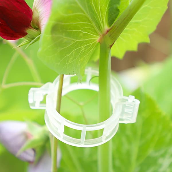 100 stk. Plastikklips til klatrende planter - Klar fikseringsklips til tomat A
