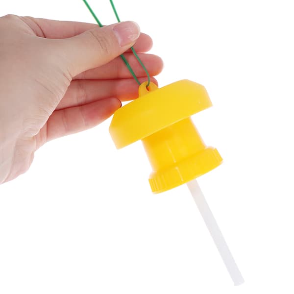 Fruktflugfälla Killer Plast Drosophila Trap Flugfångare Pest