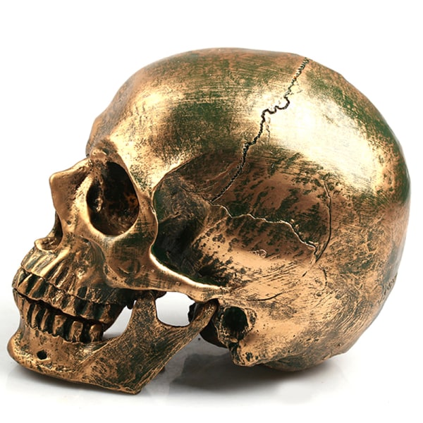 Human Bronse Resin Skull Model Halloween Realistic 1:1 Statue Gold One Size