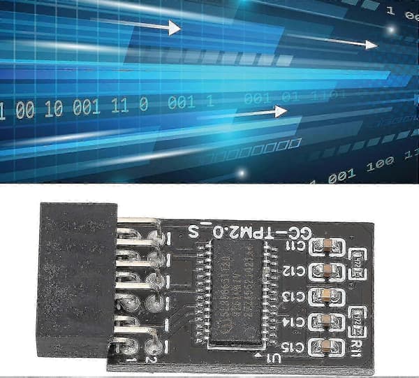 12Pin TPM 2.0 Krypteringsmodul Kompatibel med LPC SPI Moderkort