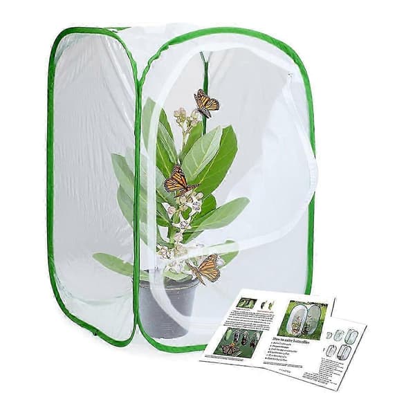 2-pakkaus hyönteis- ja perhoshäkki