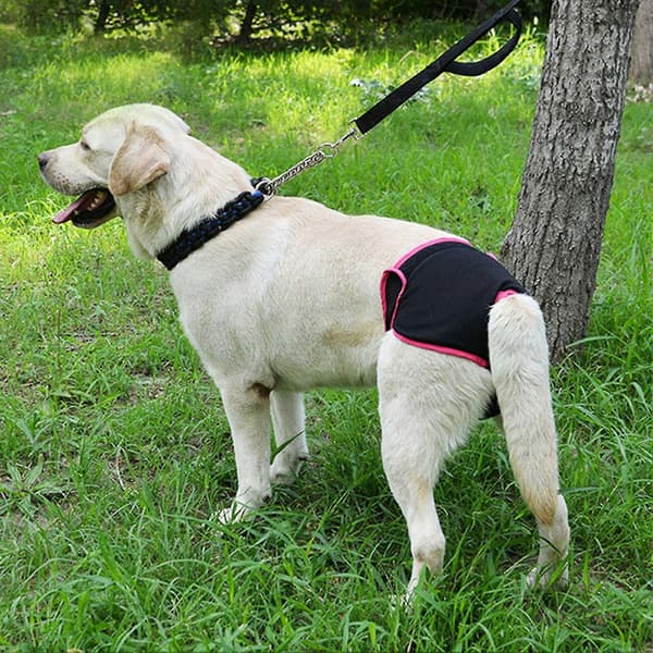 Sanitetsblöja för tikar, polyester, svart XS
