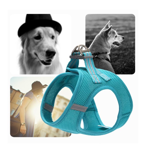 Hundevest-seler med bånd Kjæledyr-selevest til kjæledyr Blue S 92a5 | Blue  | S | Fyndiq