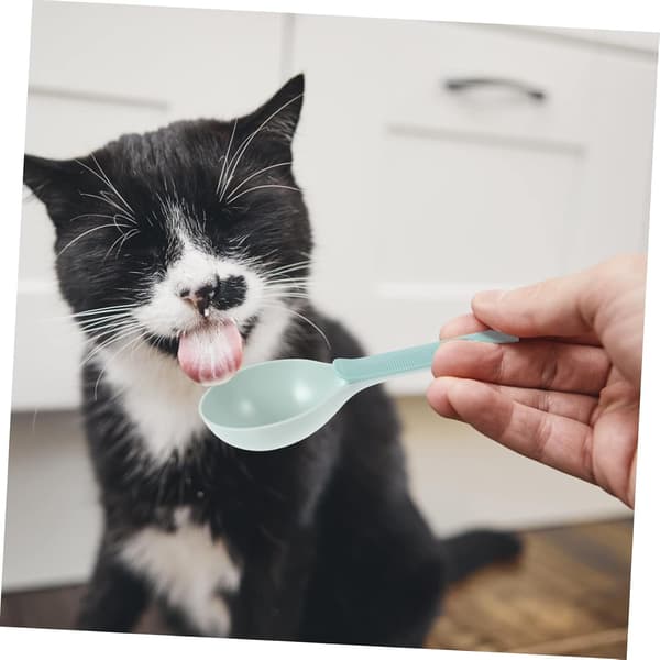 1 stk. skovl til kæledyrsfoder Ergonomisk fodringsværktøj til katte og hunde Holdbare plastikskeer til kæledyr, blå