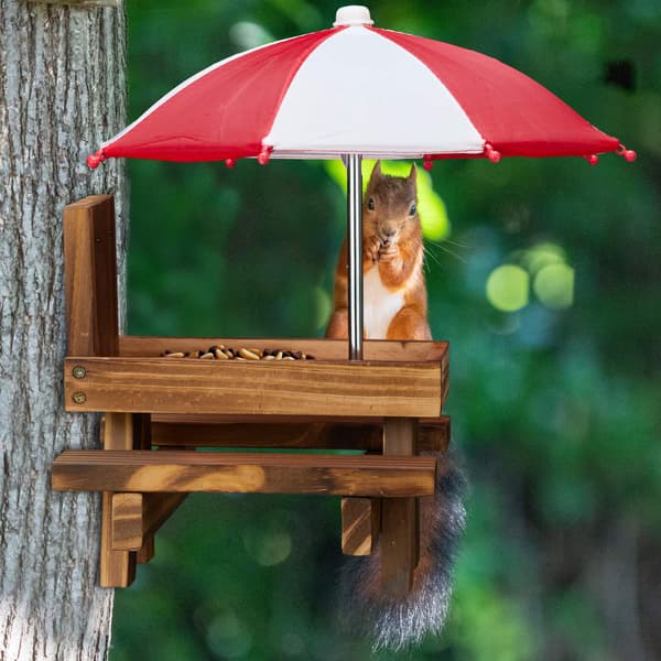 Squirrel Picnic Pöydän syöttölaite kahdella sateenvarjolla