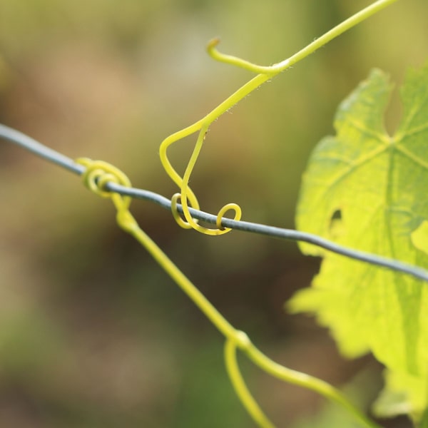 Bind kabel 1 mm i et sæt af 2