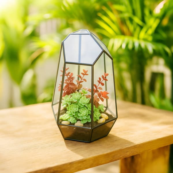 Geometrisk glasterrarium til sukkulenter og luftplanter