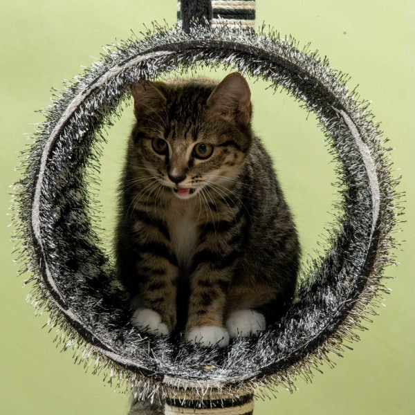 Kradsestolpe Kat Træ Zebra Design Klatretunnel Jute Stolpe Sort + Hvid 93Cm