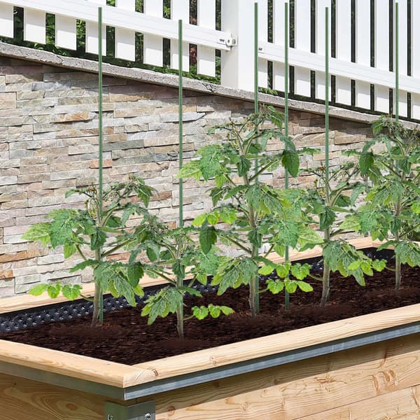 Plantepinde 100 cm i 10-pak