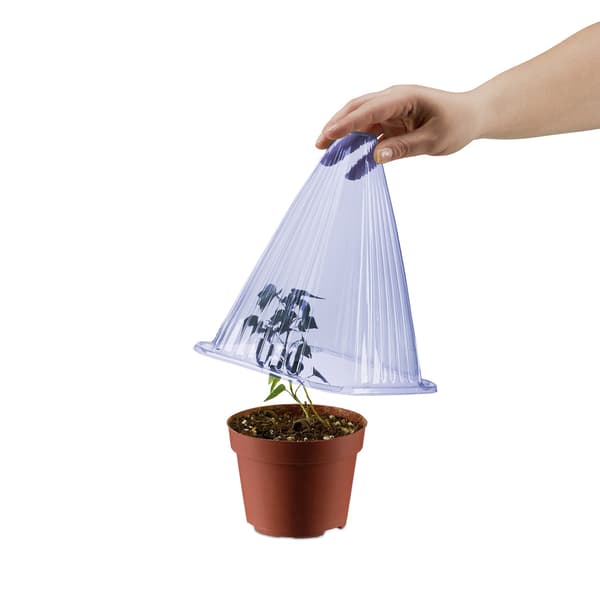 Växtskyddskottar, blå, set med 32 st, PVC-material