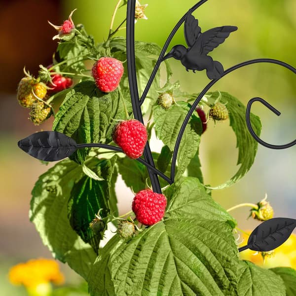 Stålespalier til klatreplanter, blomsterdesign