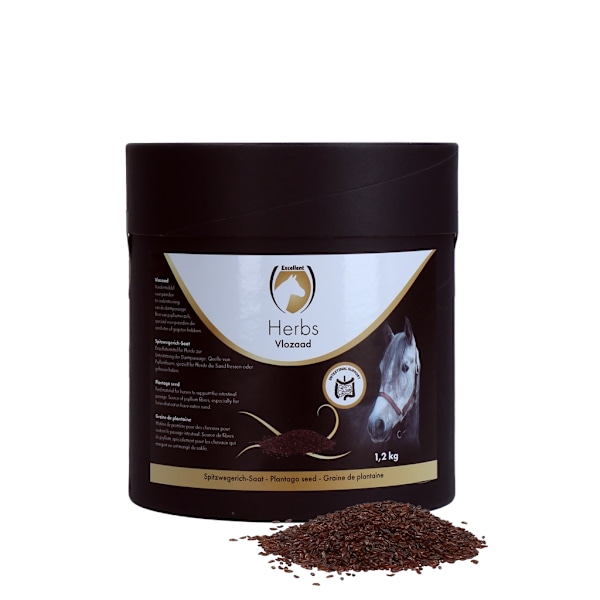 Fremragende urter Plantago frø (psyllium)