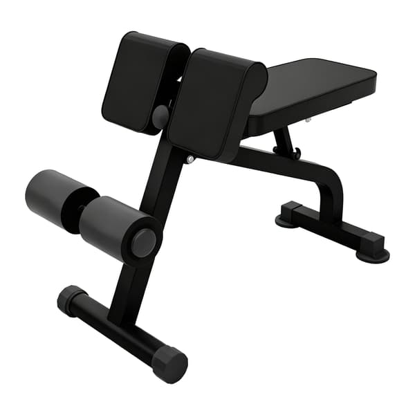 Multifunktionel Hyperextension & Curls-bænk, sort, stålramme
