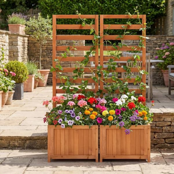 Højbed med espalier, grantræ
