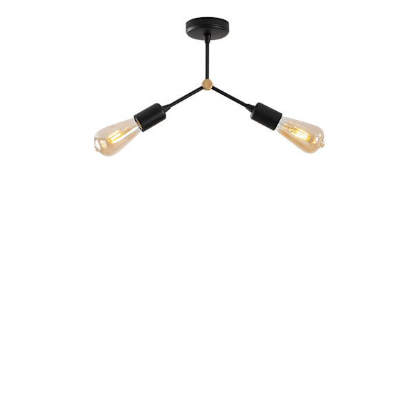 Lysekrone Sparrow - 1252