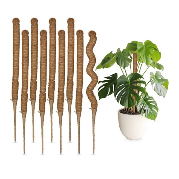 Kookostangot 60 cm