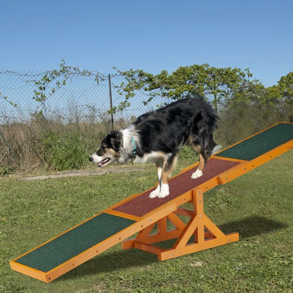 Agility koirille Keinu