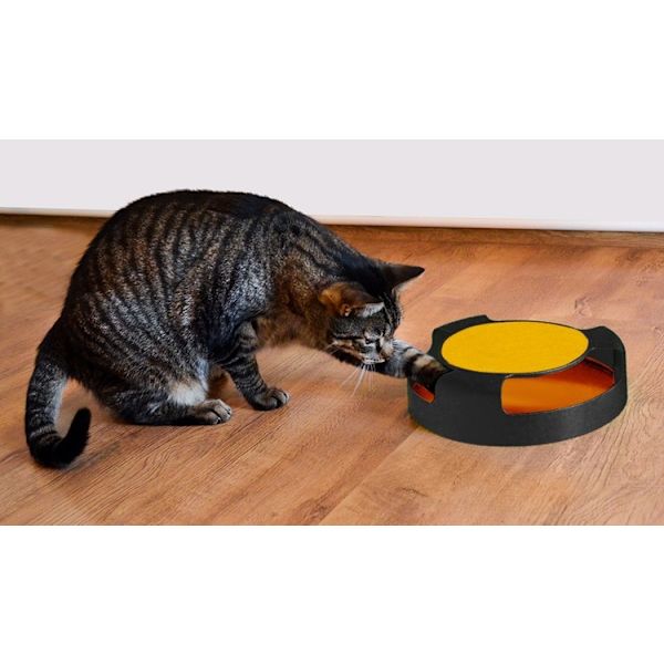 En leksak för en katt - ett hjul med en mus