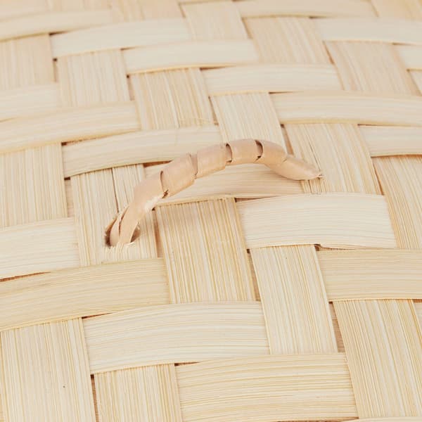 Bamboo Steamer 2 Tier