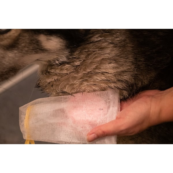 Groomers Secret Shampoo Bar Rose