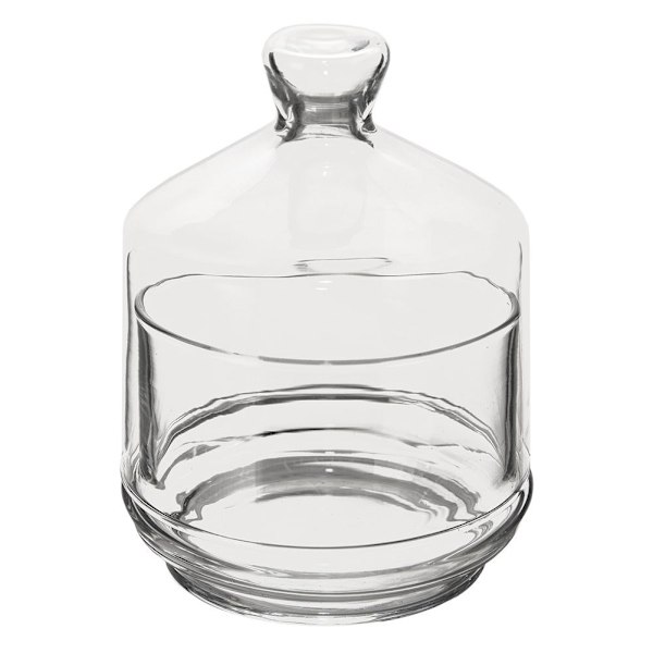Elegant Citronskål med Lock i Genomskinligt Glas
